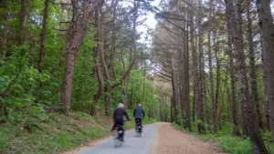 Pareja montando en bicicleta por un camino arbolado en una zona rural.