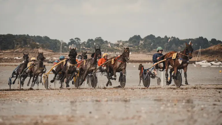 Carreras de caballos en Sanlúcar: acceso gratis en agosto