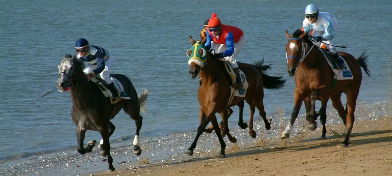 Carreras de caballos en Sanlúcar: acceso gratis en agosto