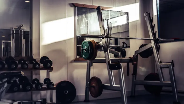 Vista interior de un gimnasio con maquinaria profesional y pesas en estanterías.