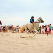 Carreras de caballos en Pinedo: la tradición de las Corregudes de Joies