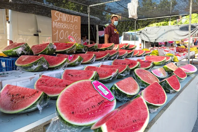 Feria de Málaga 2026: cómo volver y evitar calor y atascos