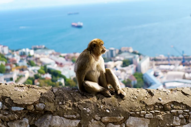 Gibraltar: por qué 1704 no explica por sí solo su soberanía