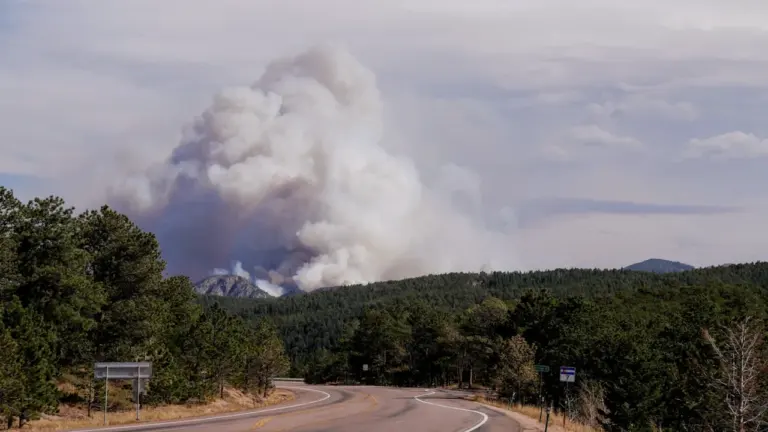 Incendio en Los Alamillos: cortes en la A-7 y despliegue de emergencia