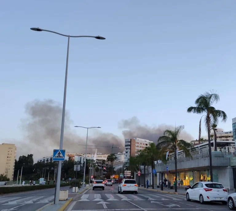 Incendio en Los Alamillos: cortes en la A-7 y despliegue de emergencia