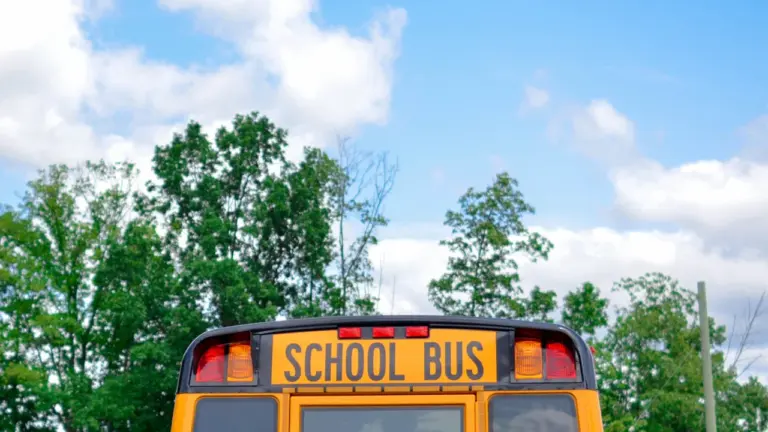Marbella da a las familias más control sobre el bus escolar