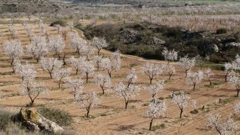 Nuevas restricciones de agua en Cataluña: qué se puede hacer hoy