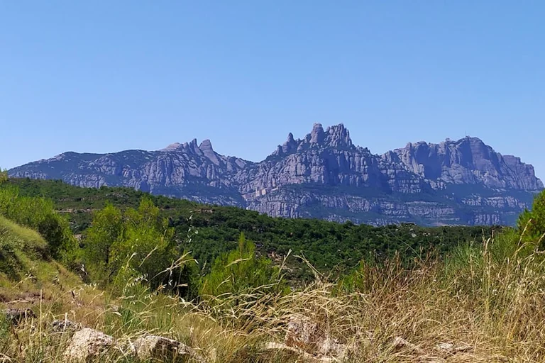 Nuevas restricciones de agua en Cataluña: qué se puede hacer hoy