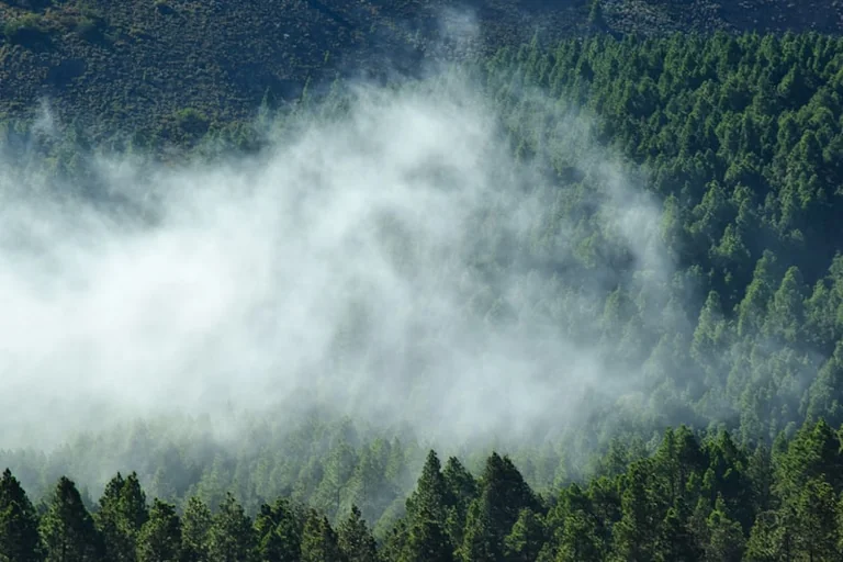 Riesgo de incendios en España este 3 de agosto: mapa y precauciones