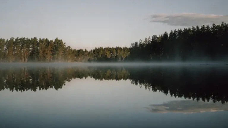 Soñar con agua: emociones, símbolos y significado