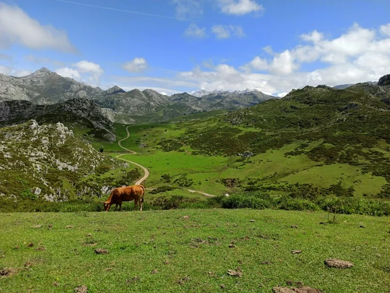 Domingo estable en los Picos de Europa, según AEMET