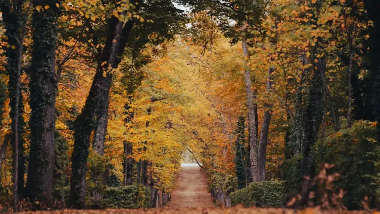 Equinoccio de septiembre: así llega el otoño a España