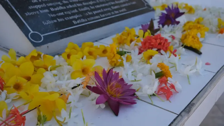 La ofrenda que volvió a reunir a Alaquàs ante su patrona