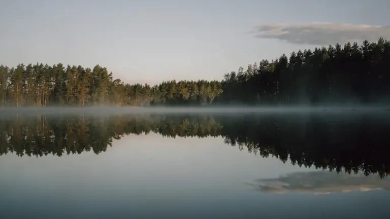 Soñar con agua: claves según su movimiento y emoción