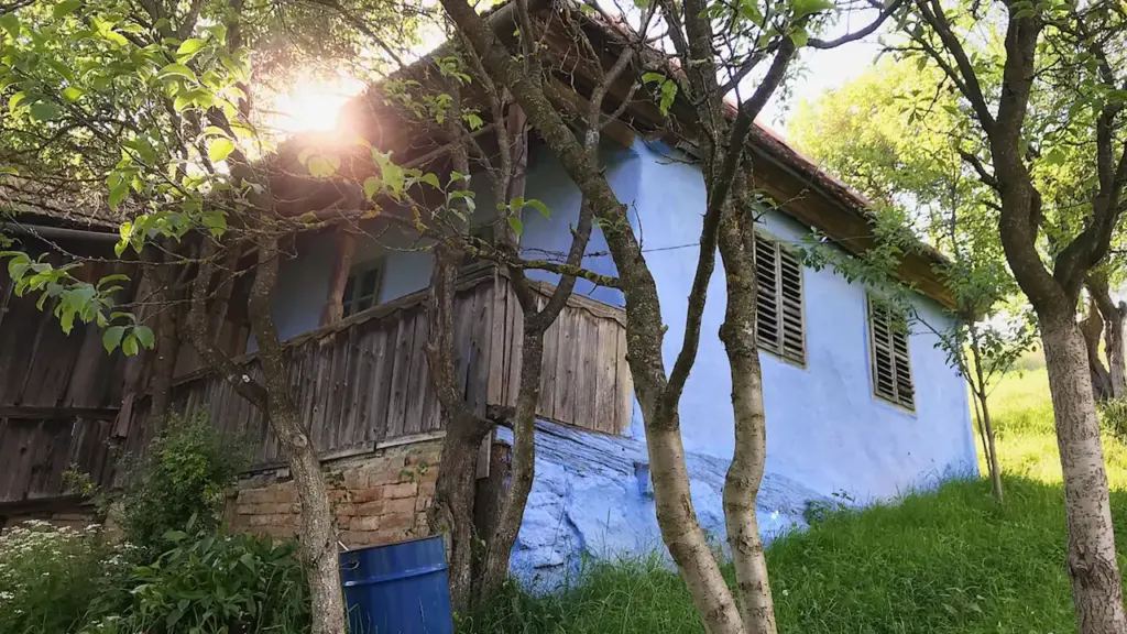 Una pintoresca y misteriosa casa azul rodeada por la naturaleza y árboles.