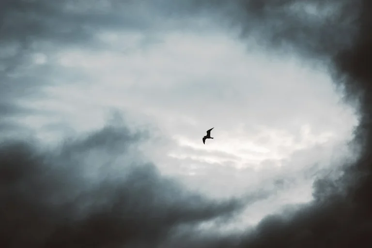 Soñar con volar: qué revela la sensación del sueño