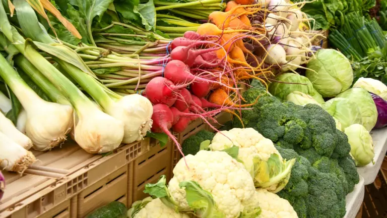 Día Mundial de la Alimentación: del campo a la mesa